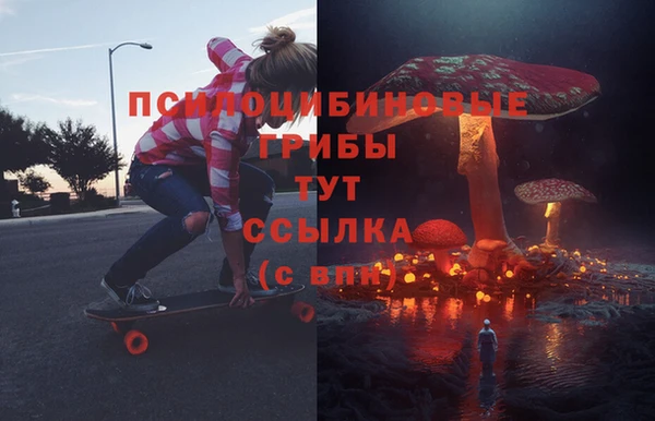 ECSTASY Вязники