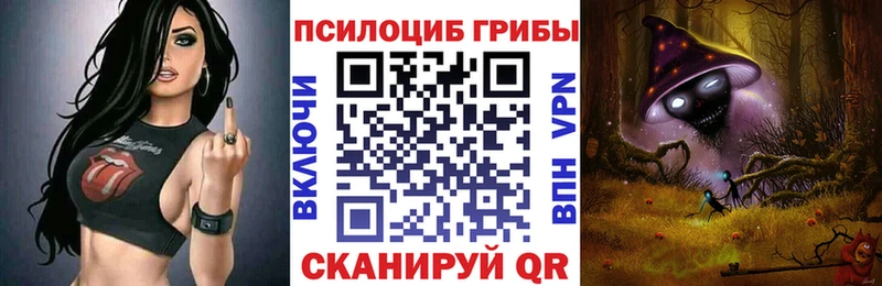 Псилоцибиновые грибы Cubensis  Купить где  Луга 